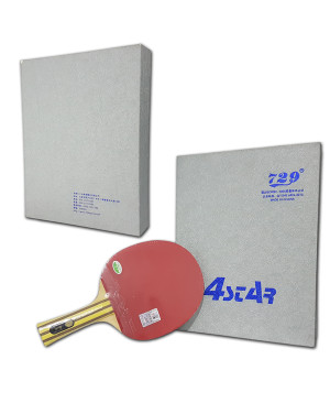 Vợt bóng bàn 729-4 sao CB