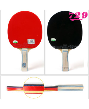 Vợt bóng bàn 729-1060