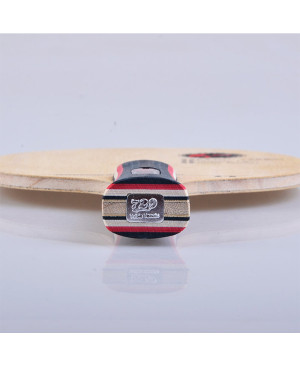 Cốt vợt 729-Z2