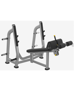 Máy đẩy tạ dốc xuống Royal M024B