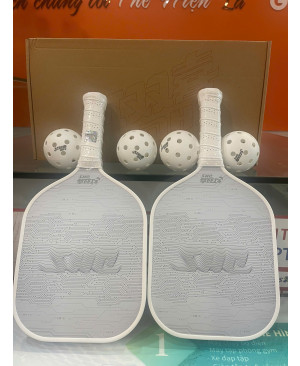 Vợt Picklerball  DHS  Reunion